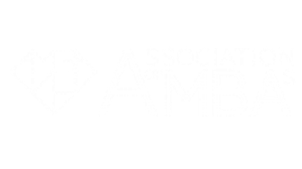 AMBA logo