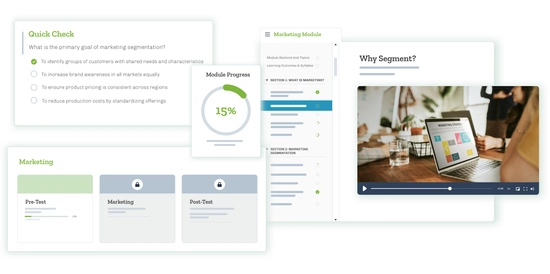 image of the academic leveling interface