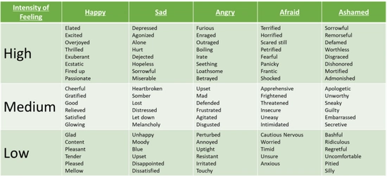 A chart organizing emotions from high to low intensity.